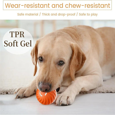🐾 Clever Smart Pet Ball – USB Interactive Bouncing Toy for Dogs & Cats