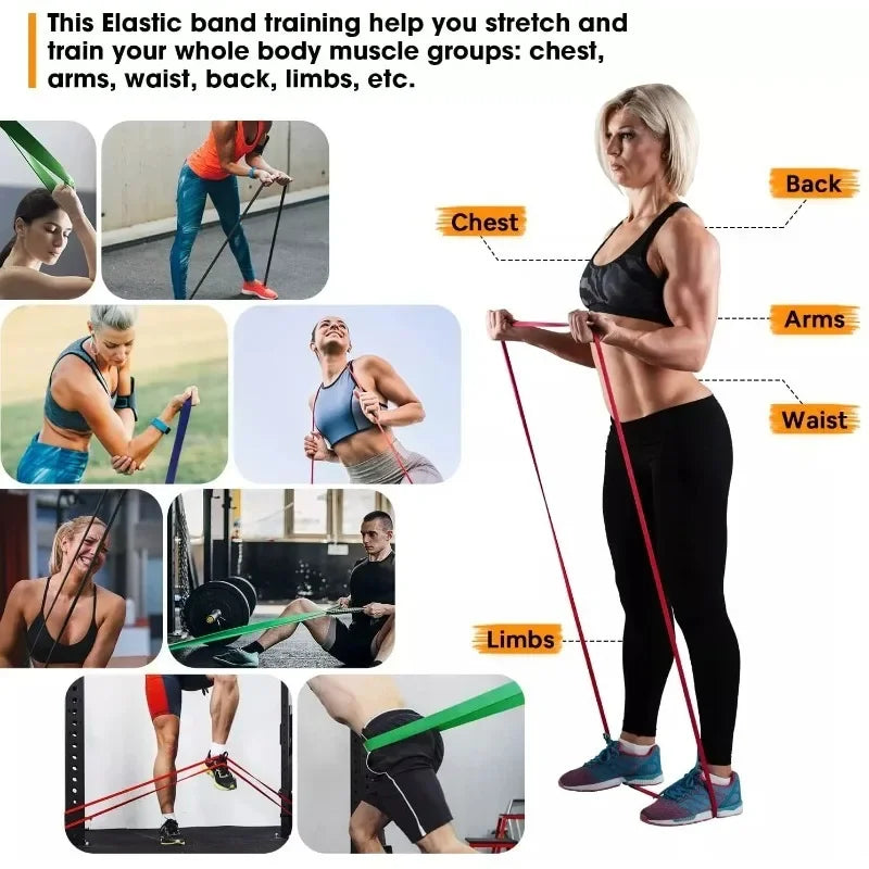 Clever Resistance Bands (5–120 lbs) – Premium Elastic Bands for Boxing, Agility, Yoga & Strength Training 💪 🧘‍♀️