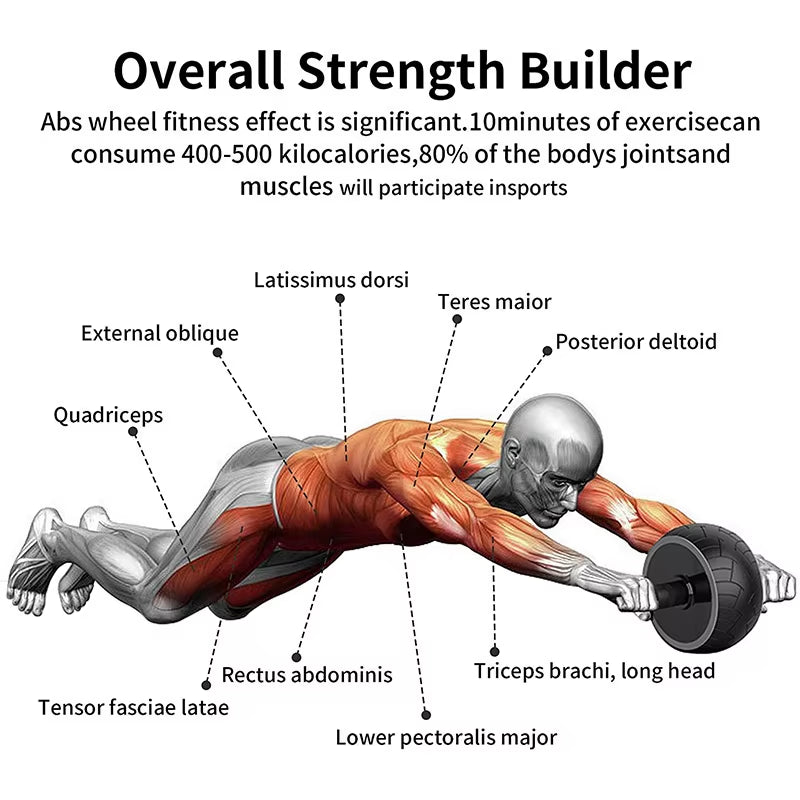 Single-Wheel Ab Roller – Silent Core Trainer for Abs, Arms & Back | Compact Home Workout Tool 🔥💪🏠